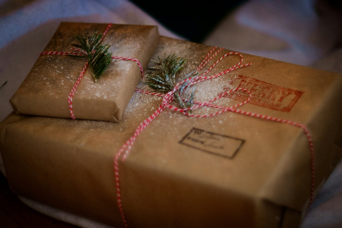 Christmas Gift Ideas for Pet Lovers